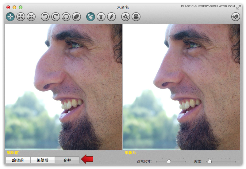 整容模拟器 Mac 版选项卡