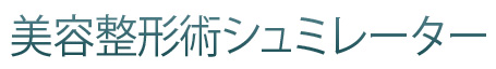 美容整形術シュミレーター